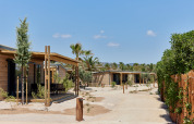 Foto de cabañas de madera con porches en un entorno desértico rodeado de palmeras y vegetación dispersa.