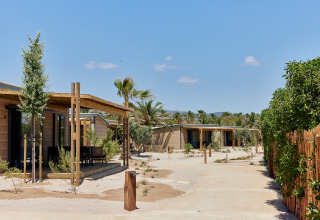 Foto de cabañas de madera con porches en un entorno desértico rodeado de palmeras y vegetación dispersa.