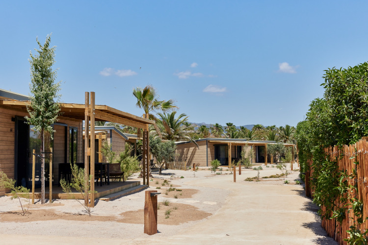Photo of wooden cabins with porches in a desert landscape, surrounded by palm trees and sparse vegetation.