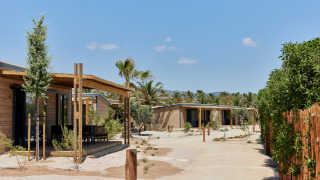 Foto de cabañas de madera con porches en un entorno desértico rodeado de palmeras y vegetación dispersa.