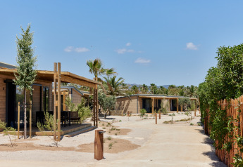 Foto de cabañas de madera con porches en un entorno desértico rodeado de palmeras y vegetación dispersa.