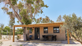 Cabaña llamada Bungalow Premium Ebre con terraza de madera, zona de estar exterior y rodeada de árboles.