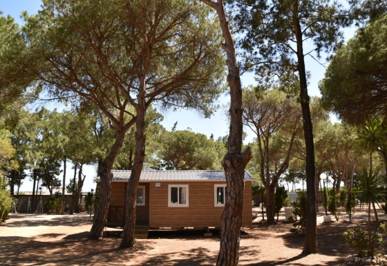Imagen del Bungalow Confort Poniente, una cabaña de madera rodeada de árboles altos y naturaleza.