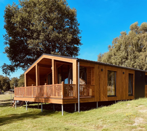 Cabaña moderna de madera con amplia terraza en Lakehouse Scandi, Wilsumer Berge, Alemania, rodeada de naturaleza.