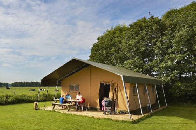Family sits at a picnic table outside a large safari tent on a grassy field with trees in the background.