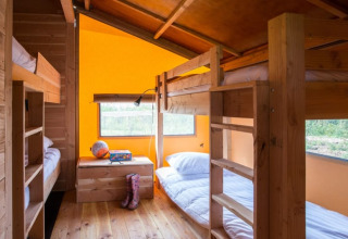 Interior view of Haytent safari tent with wooden bunk beds, bright walls, and windows showing nature outside.
