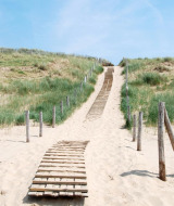 Camino de arena con pasarela de madera atravesando dunas y césped bajo cielo azul en un parque glamping.
