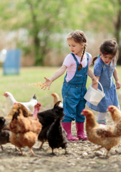 Dos niñas alimentan gallinas en libertad en una granja rodeada de naturaleza en un parque de glamping.