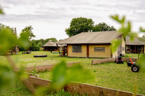 Safaritenten op FarmCamps Op de Beemd in Noord-Brabant, Nederland, met speeltuin en groen grasveld.
