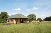 Safaritent voor glamping op een grasveld met koeien, picknicktafel en hangmat bij een vakantiepark.
