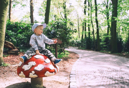 Niño pequeño sentado en una gran seta decorativa en un parque de vacaciones glamping rodeado de bosque.