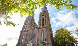 Impresionante catedral gótica con dos torres, vista desde abajo y enmarcada por hojas verdes y cielo azul.