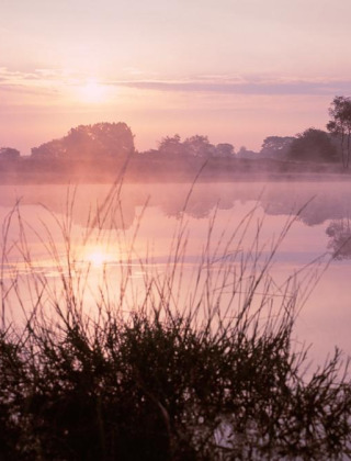 Amanecer sobre un lago brumoso cerca de Zeeland en North-Brabant, Países Bajos, con árboles reflejados.