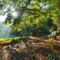 La luz del sol atraviesa los árboles e ilumina un banco en un bosque junto a Zeeland, Brabante Septentrional.