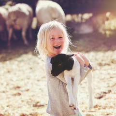 Niña rubia sonriente sostiene un cordero blanco y negro, con ovejas pastando al fondo en un día soleado.