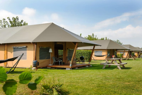 Safari tents on a grassy campsite featuring hammocks, picnic tables, and outdoor seating under a clear sky.