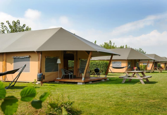 Safaritenten op een groene camping met hangmatten, picknicktafels en tuinstoelen in het zonlicht.