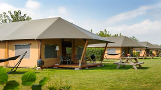 Safari tents on a grassy campsite featuring hammocks, picnic tables, and outdoor seating under a clear sky.
