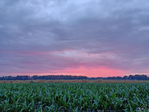 Cielo al atardecer sobre un campo verde en Boerderijcamping het Katreel, Overijssel, Países Bajos, con árboles al fondo.