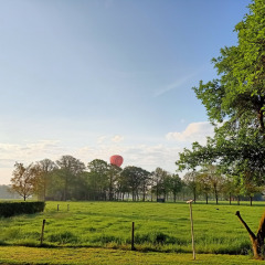 Campo verde, árboles y un globo aerostático rojo en Boerderijcamping het Katreel, Overijssel, Países Bajos.