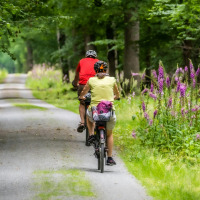 Dos personas montan en bicicleta por un sendero forestal con flores moradas cerca de Haaksbergen, Overijssel, Países Bajos.