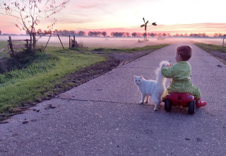 Ein kleines Kind auf einem roten Spielzeugauto streichelt eine weiße Katze auf einer Landstraße bei Sonnenuntergang.