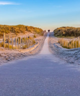 Camino que atraviesa dunas y arena con vegetación cerca de Abbenbroek, Holanda Meridional, Países Bajos.