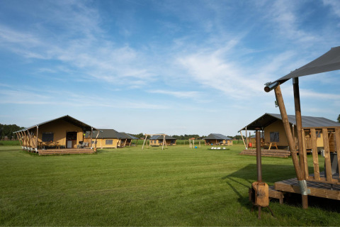 Tiendas de lujo en FarmCamps De Kalverliefde, Limburg, Países Bajos, rodeadas de campos verdes y cielo azul.