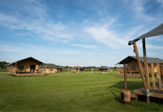 Billede af luksus telte på FarmCamps De Kalverliefde i Limburg, Holland, med grønne marker og blå himmel.