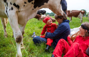 Famiglia in tuta rossa seduta sull'erba con mucche al FarmCamps Den Branderhorst, Gelderland, Paesi Bassi.