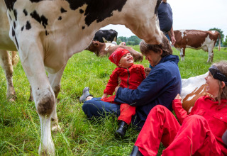 Familie in roter Kleidung sitzt lachend auf einer Wiese mit Kühen im FarmCamps Den Branderhorst, Gelderland.
