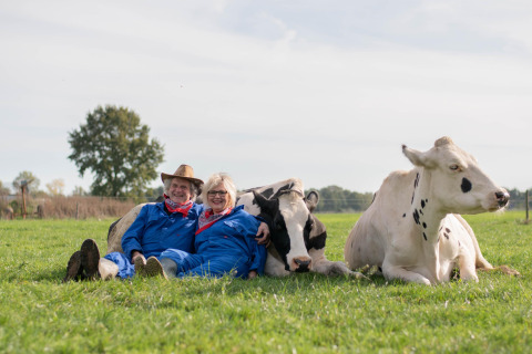 Una pareja mayor con monos azules sentados junto a dos vacas en el césped de FarmCamps Den Branderhorst.