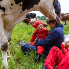 Familia sentada en la hierba y riendo entre vacas en FarmCamps Den Branderhorst, Gelderland, Países Bajos.