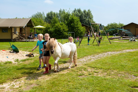 Kinderen wandelen met een pony en spelen op het speelplein van FarmCamps Den Branderhorst in Gelderland, Nederland.