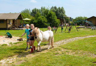 Kinderen wandelen met een pony en spelen op het speelplein van FarmCamps Den Branderhorst in Gelderland, Nederland.