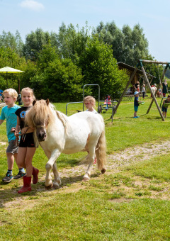 Niños pasean con un pony y juegan en el parque infantil de FarmCamps Den Branderhorst en Gelderland, Países Bajos.