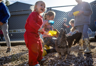 Children feeding chickens with colorful bowls at FarmCamps De Kamperhoek holiday park in Zeeland, Netherlands.