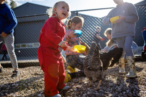 Children feeding chickens with colorful bowls at FarmCamps De Kamperhoek holiday park in Zeeland, Netherlands.