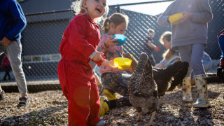 Niños alimentan gallinas con cuencos de colores en FarmCamps De Kamperhoek en Zeeland, Países Bajos.