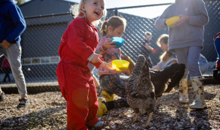 Niños alimentan gallinas con cuencos de colores en FarmCamps De Kamperhoek en Zeeland, Países Bajos.