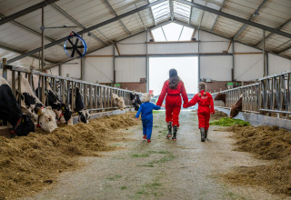 Children and an adult in colorful overalls walk through a cow barn at FarmCamps De Oostermaat, Overijssel.