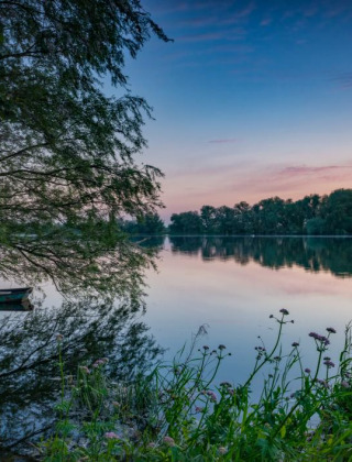 Rustig avondlandschap bij Genemuiden in Overijssel met een boot, bomen en spiegelglad water.