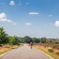 Fietser op een rustige landweg omringd door velden en bomen nabij Genemuiden, Overijssel, Nederland.