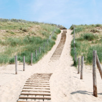 Sendero de arena con tablas de madera entre dunas cerca de Vogelwaarde, Zelanda, Países Bajos, bajo cielo azul.