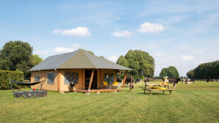 Safari tent campsite on a grassy field with cows, picnic table, and hammock under a blue sky.