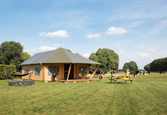 Safaritent op een groene weide met koeien, picknicktafel en hangmat onder een blauwe hemel.