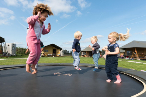 Kinderen springen blij op een trampoline bij FarmCamps Alpaca Vorstenbosch in Noord-Brabant, Nederland.