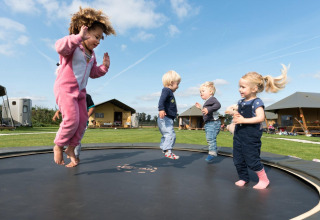 Kinderen springen blij op een trampoline bij FarmCamps Alpaca Vorstenbosch in Noord-Brabant, Nederland.