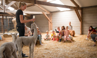 Mujer alimentando alpacas con biberón frente a niños en FarmCamps Alpaca Vorstenbosch, Brabante Septentrional, Países Bajos.