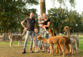 Familie poserer med alpakaer på FarmCamps Alpaca Vorstenbosch, en feriegård i Nord-Brabant, Holland.
